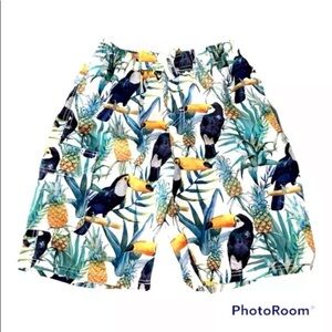 Mens The Image Sz Medium Swim Trunks Boardshorts Mesh Lined Pockets Parrot EUC